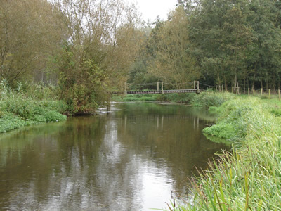 River Avon October
